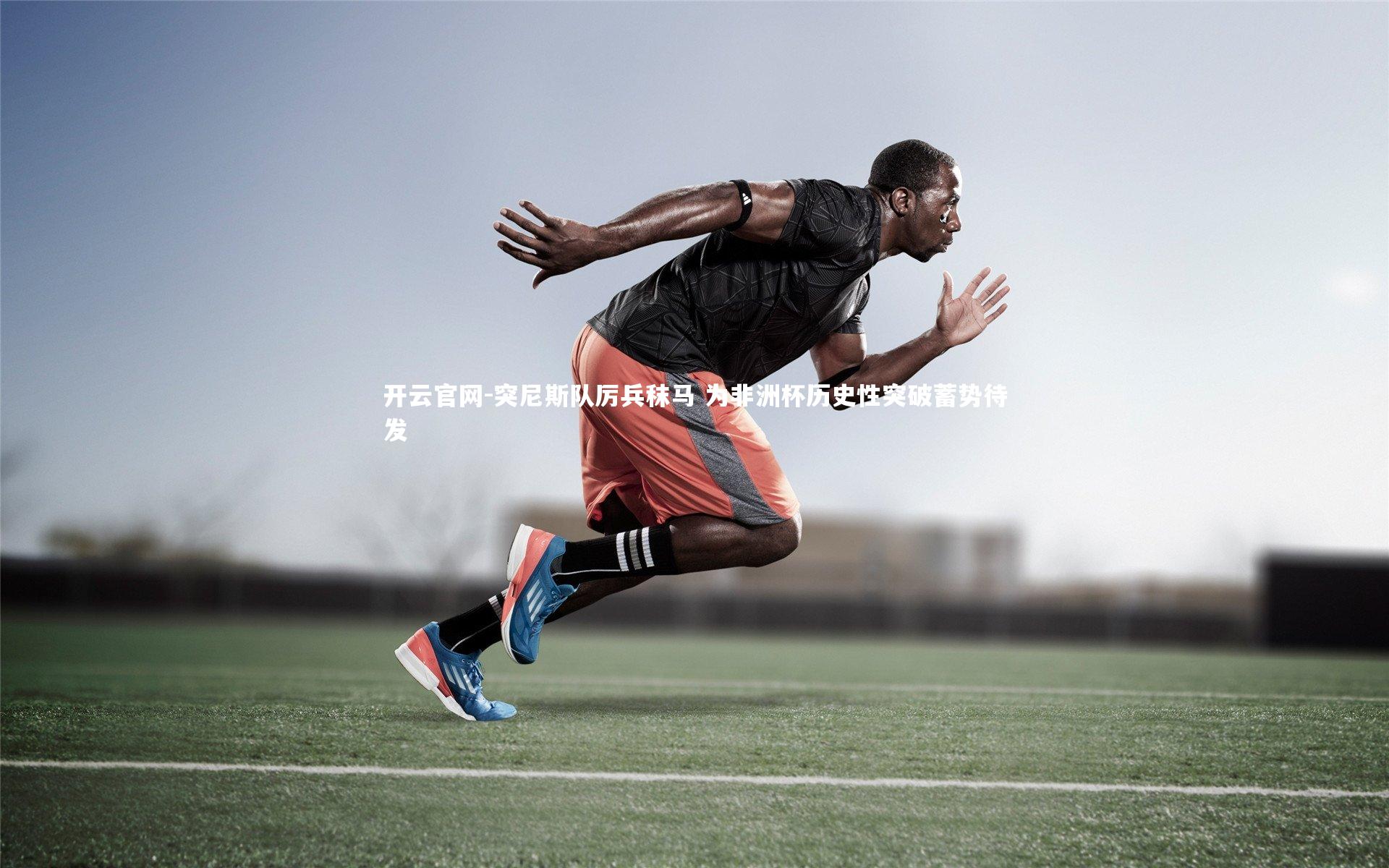 突尼斯队厉兵秣马 为非洲杯历史性突破蓄势待发